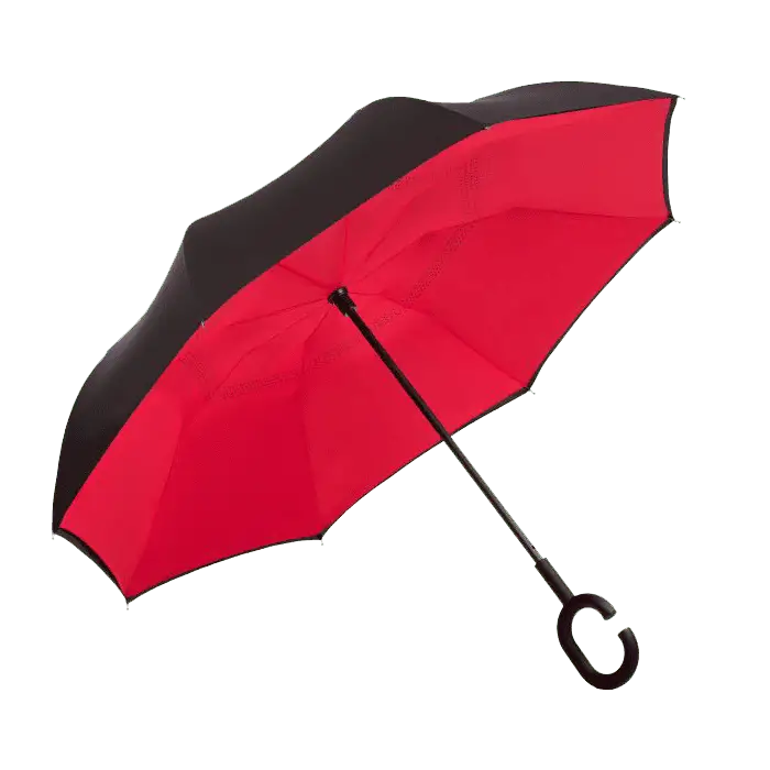 Reversible Umbrella